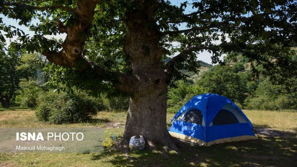 حال و روز جنگل «ابر» شاهرود