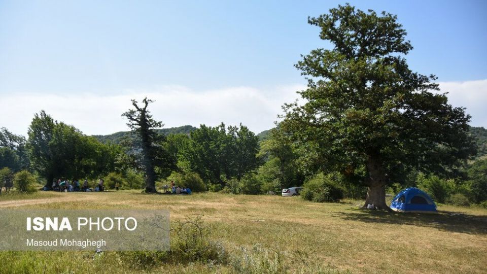 حال و روز جنگل «ابر» شاهرود