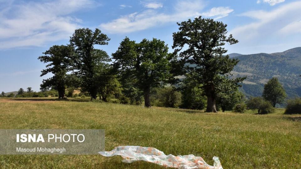 حال و روز جنگل «ابر» شاهرود