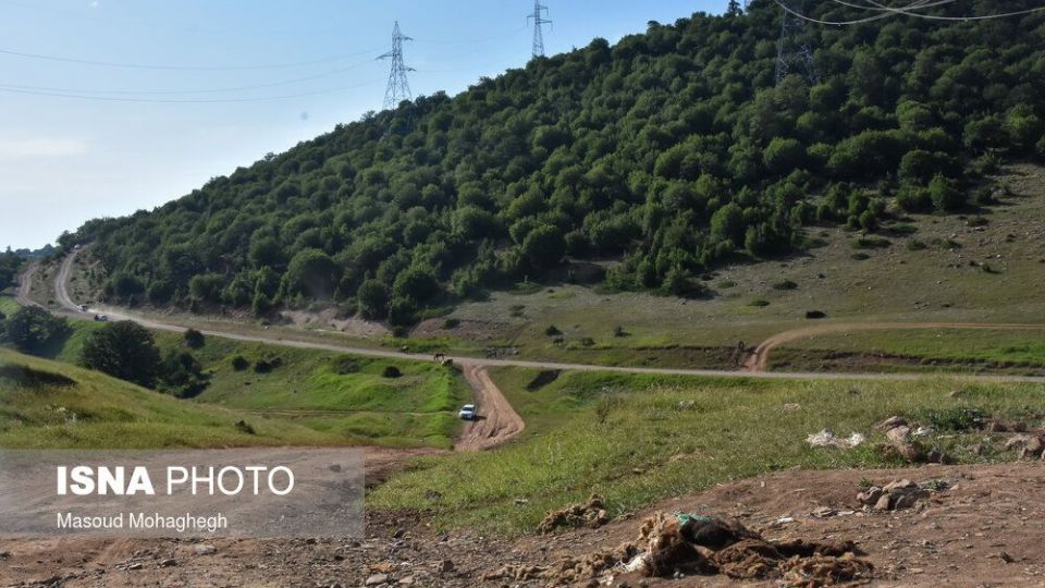 حال و روز جنگل «ابر» شاهرود