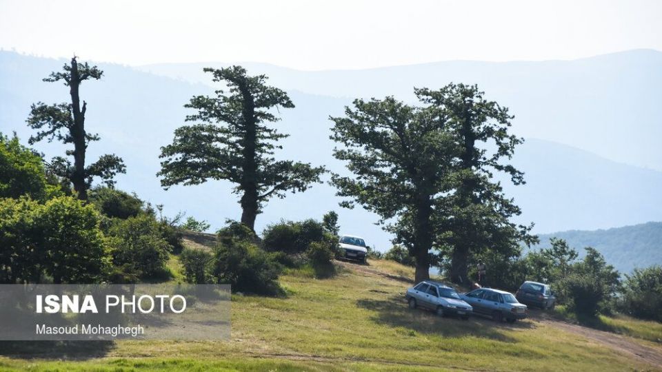 حال و روز جنگل «ابر» شاهرود
