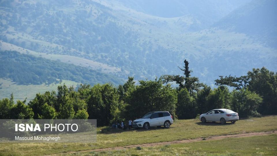 حال و روز جنگل «ابر» شاهرود