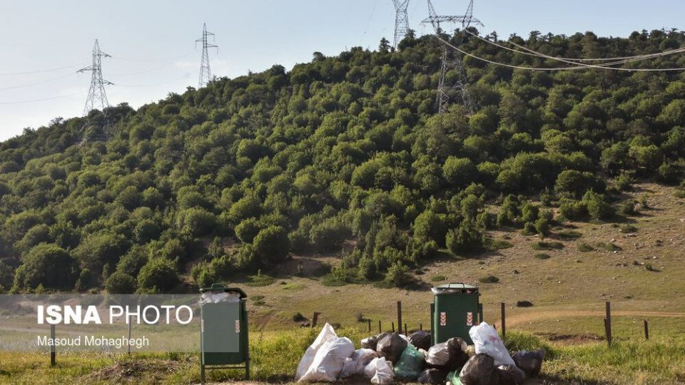 حال و روز جنگل «ابر» شاهرود