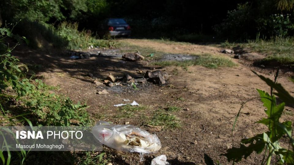 حال و روز جنگل «ابر» شاهرود