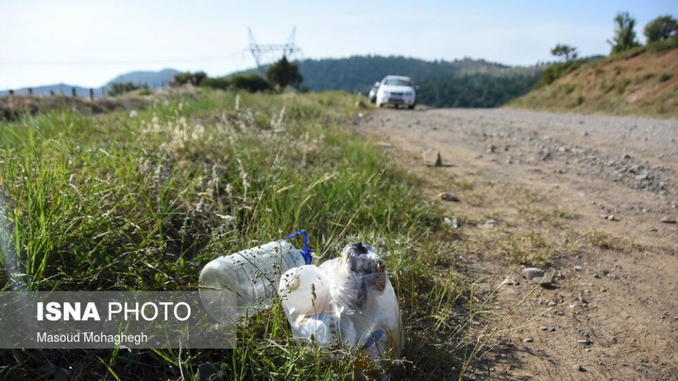 حال و روز جنگل «ابر» شاهرود