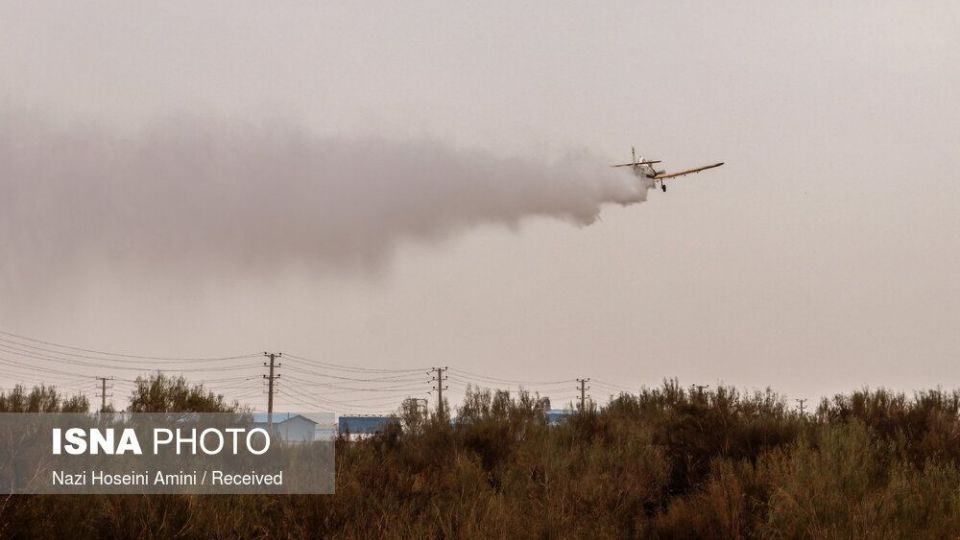 آتش‌سوزی در اراضی جنگلی «بوئین‌زهرا»