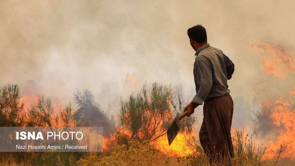 آتش‌سوزی در اراضی جنگلی «بوئین‌زهرا»