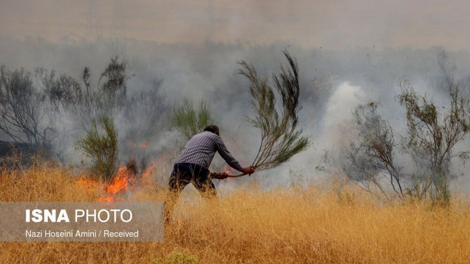 آتش‌سوزی در اراضی جنگلی «بوئین‌زهرا»