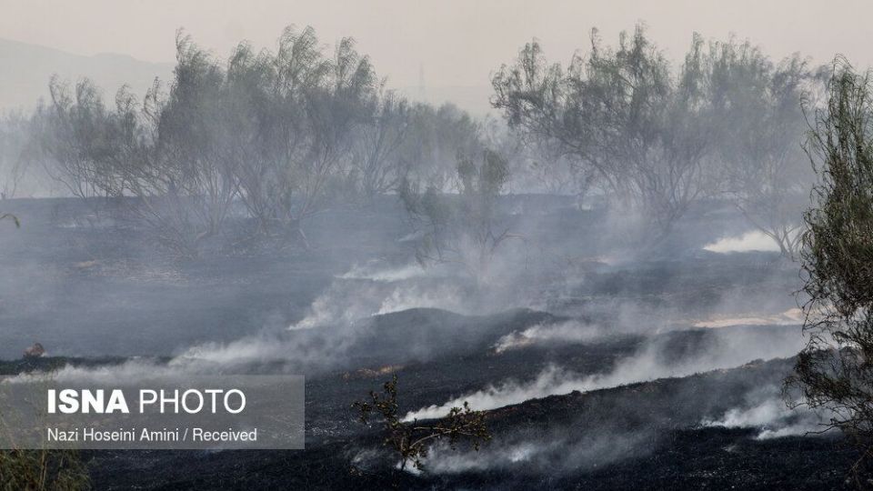 آتش‌سوزی در اراضی جنگلی «بوئین‌زهرا»