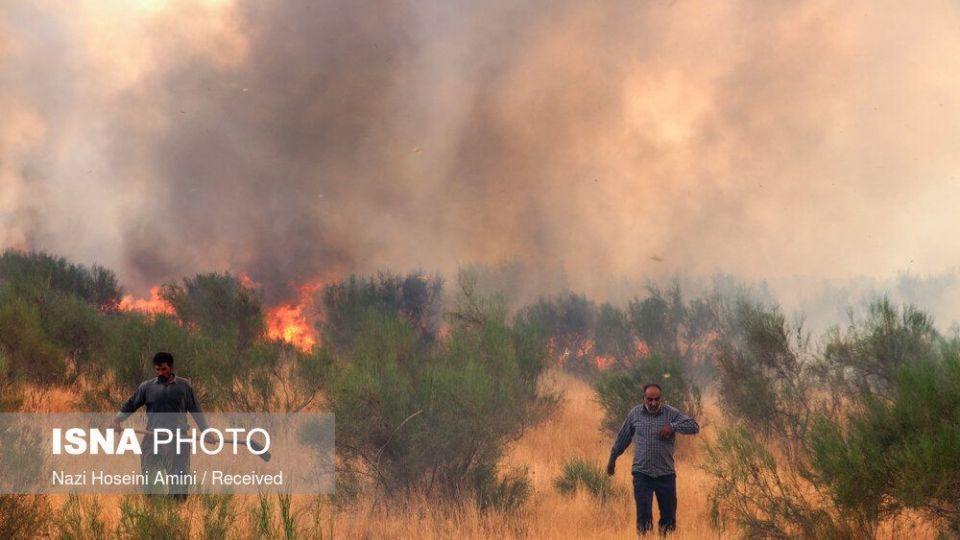 آتش‌سوزی در اراضی جنگلی «بوئین‌زهرا»