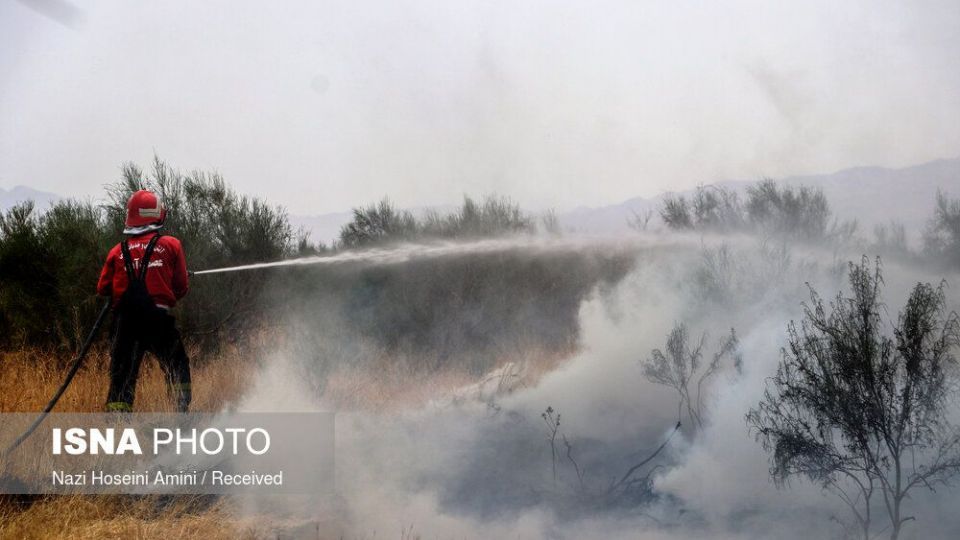 آتش‌سوزی در اراضی جنگلی «بوئین‌زهرا»