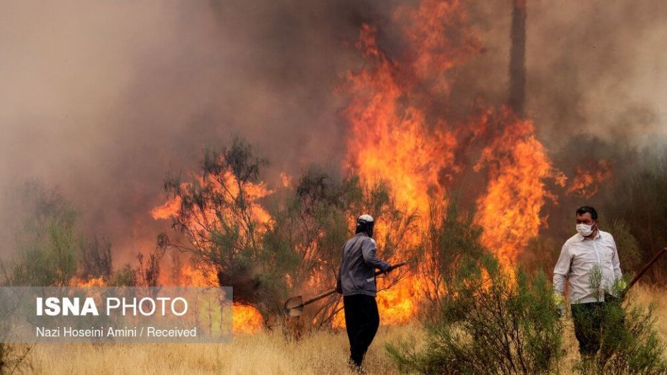 آتش‌سوزی در اراضی جنگلی «بوئین‌زهرا»