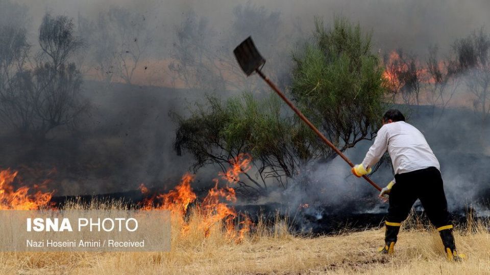 آتش‌سوزی در اراضی جنگلی «بوئین‌زهرا»