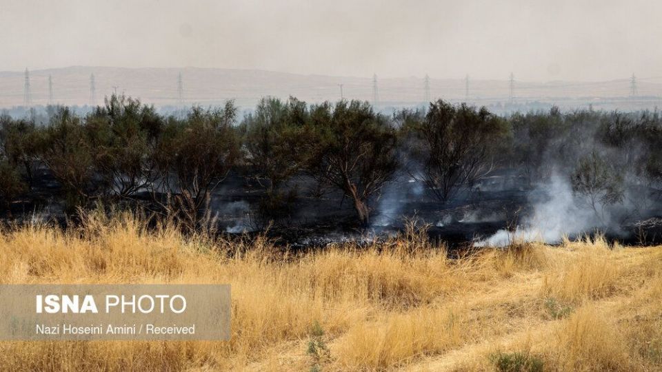 آتش‌سوزی در اراضی جنگلی «بوئین‌زهرا»