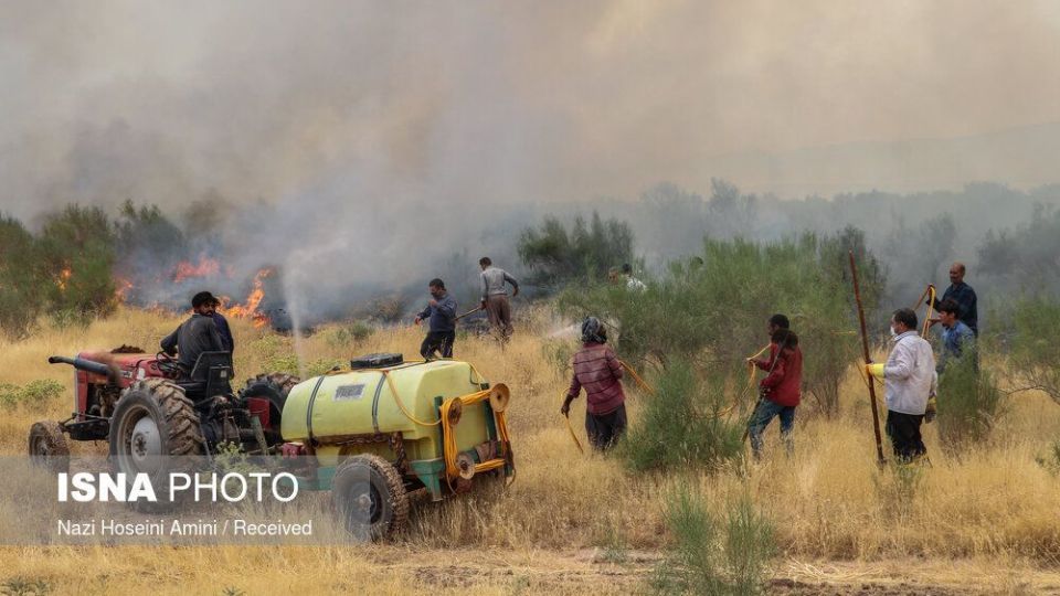 آتش‌سوزی در اراضی جنگلی «بوئین‌زهرا»