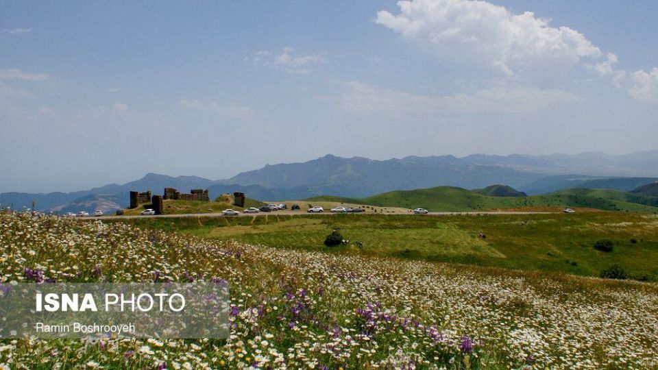 ایران زیباست؛ «دشت بابونه»  