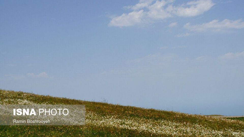 ایران زیباست؛ «دشت بابونه»  