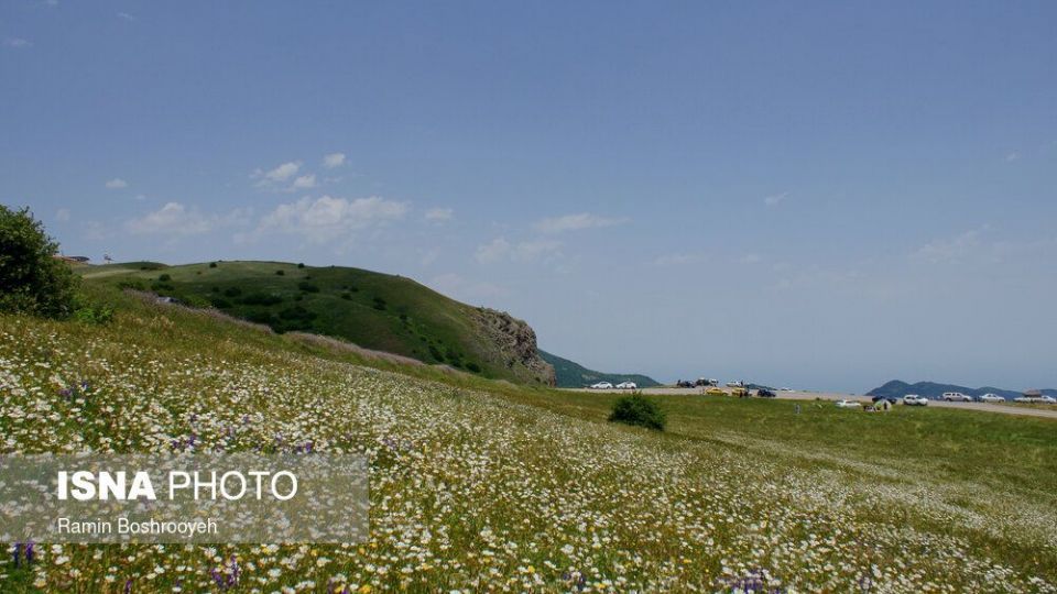 ایران زیباست؛ «دشت بابونه»  