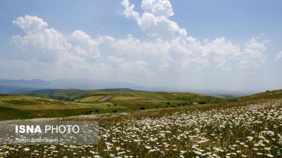ایران زیباست؛ «دشت بابونه»  