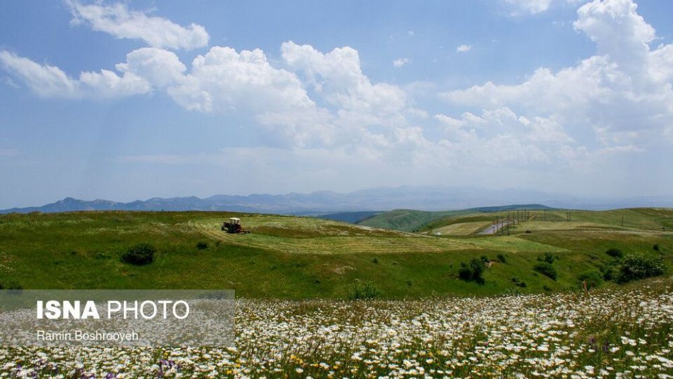 ایران زیباست؛ «دشت بابونه»  
