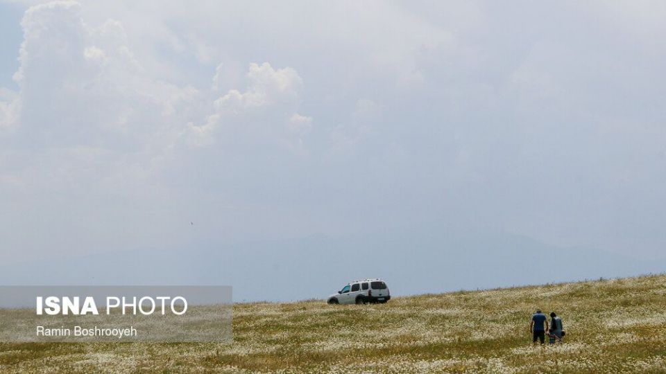 ایران زیباست؛ «دشت بابونه»  