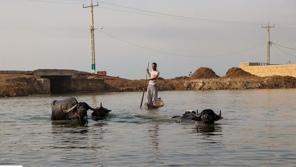 تالاب شادگان جاذبهای کمتر شناخته شده تالاب شادگان جاذبهای کمتر شناخته شده