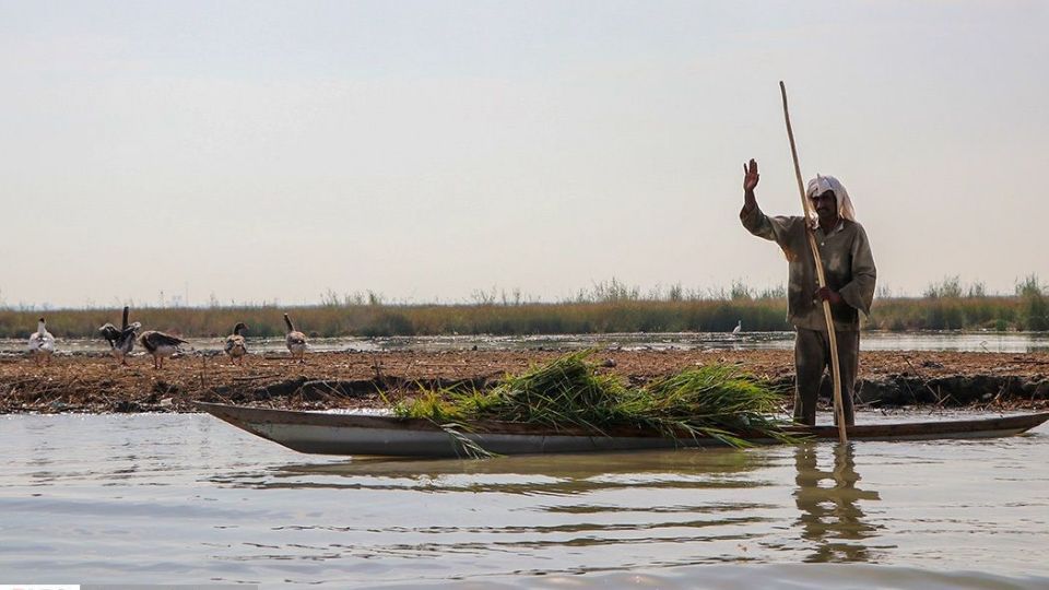 تالاب شادگان جاذبهای کمتر شناخته شده تالاب شادگان جاذبهای کمتر شناخته شده