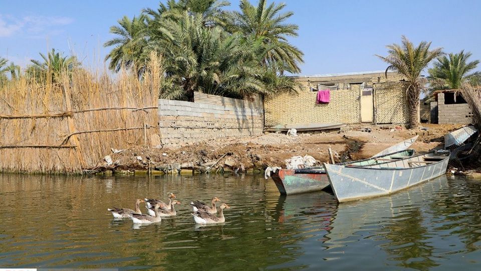 تالاب شادگان جاذبهای کمتر شناخته شده تالاب شادگان جاذبهای کمتر شناخته شده