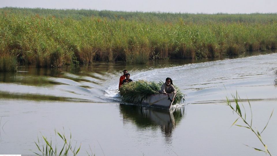 تالاب شادگان جاذبهای کمتر شناخته شده تالاب شادگان جاذبهای کمتر شناخته شده