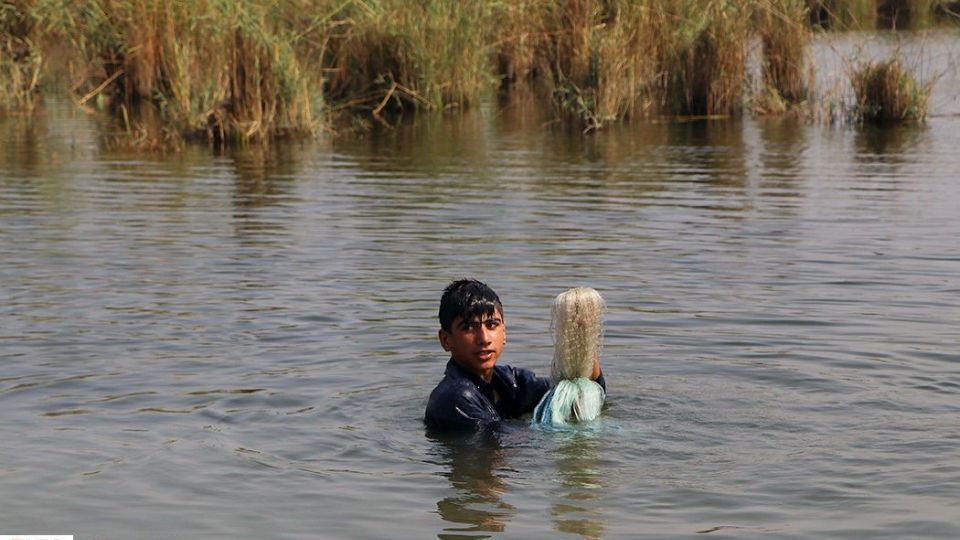 تالاب شادگان جاذبهای کمتر شناخته شده تالاب شادگان جاذبهای کمتر شناخته شده