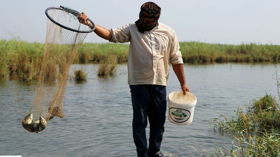 تالاب شادگان جاذبهای کمتر شناخته شده تالاب شادگان جاذبهای کمتر شناخته شده