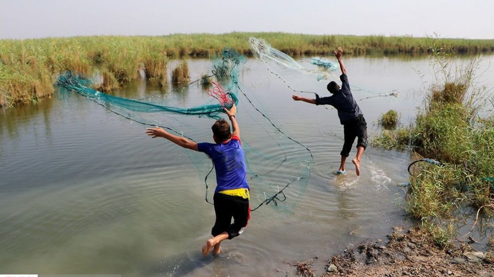 تالاب شادگان جاذبهای کمتر شناخته شده تالاب شادگان جاذبهای کمتر شناخته شده