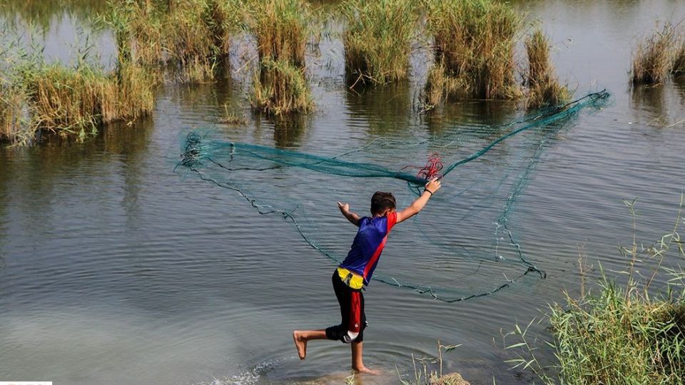 تالاب شادگان جاذبهای کمتر شناخته شده تالاب شادگان جاذبهای کمتر شناخته شده