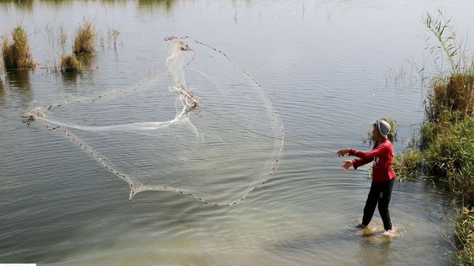 تالاب شادگان جاذبهای کمتر شناخته شده تالاب شادگان جاذبهای کمتر شناخته شده