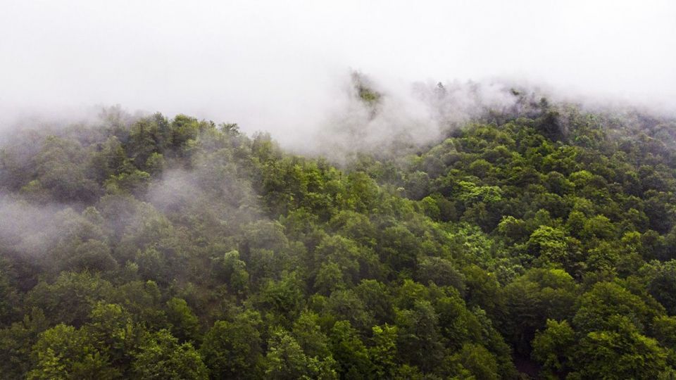دریاچه زیبای چورت دریاچه زیبای چورت