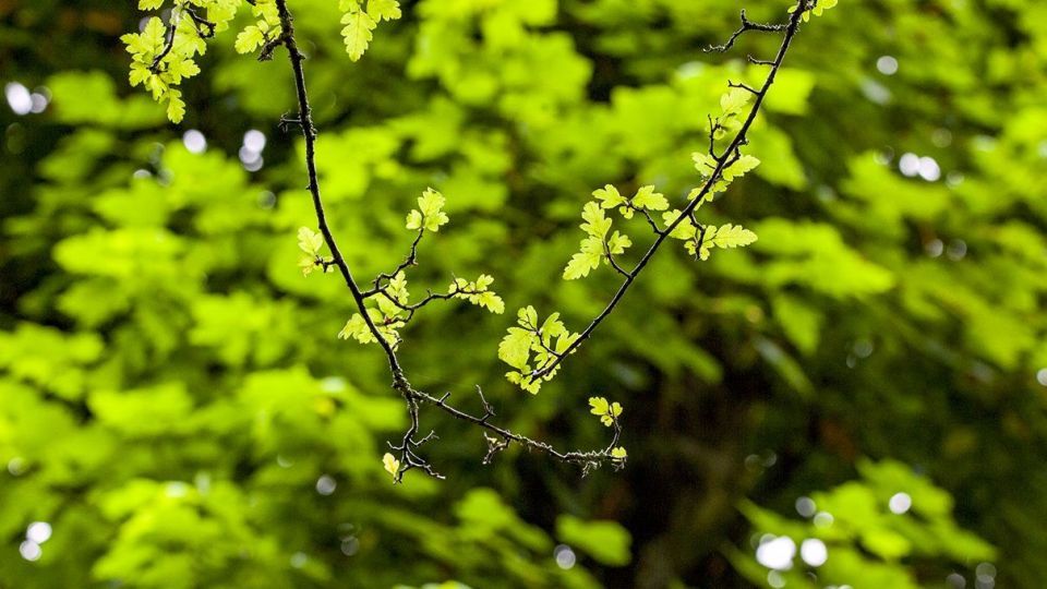 دریاچه زیبای چورت دریاچه زیبای چورت