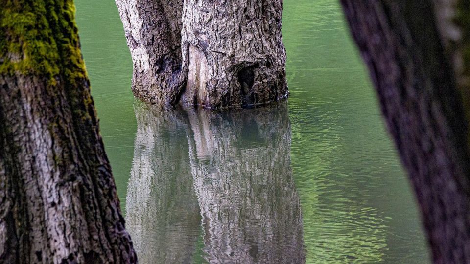 دریاچه زیبای چورت دریاچه زیبای چورت