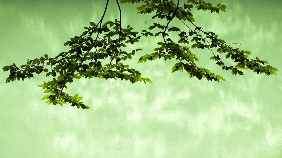 دریاچه زیبای چورت دریاچه زیبای چورت