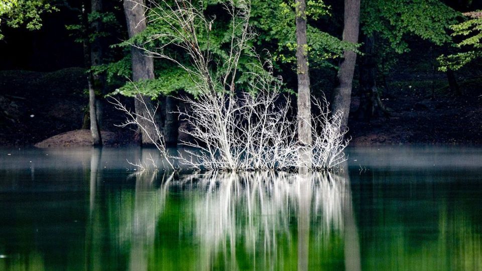 دریاچه زیبای چورت دریاچه زیبای چورت