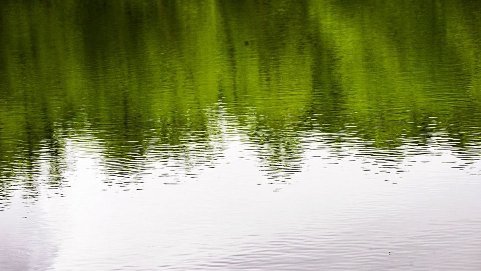 دریاچه زیبای چورت دریاچه زیبای چورت