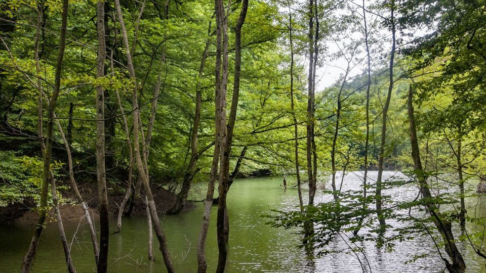 دریاچه زیبای چورت دریاچه زیبای چورت