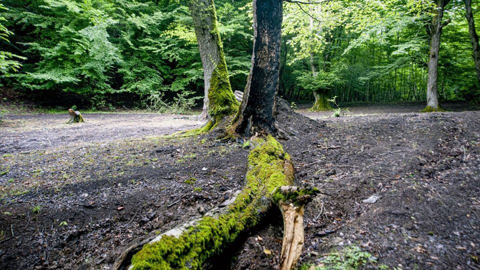 دریاچه زیبای چورت