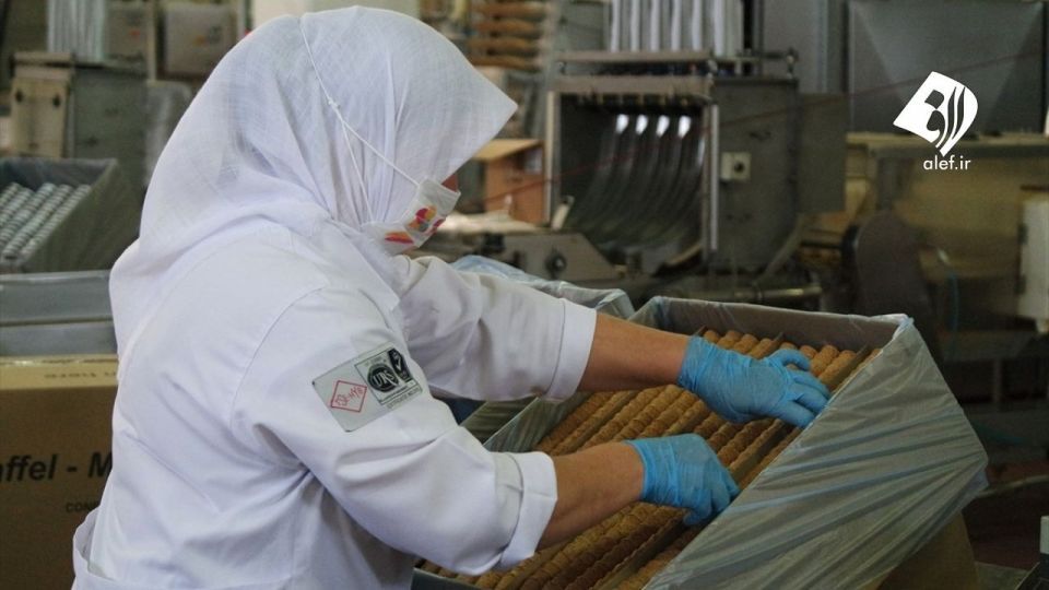 صادرات مخروط بستنی از ترکیه به ۷ کشور دنیا