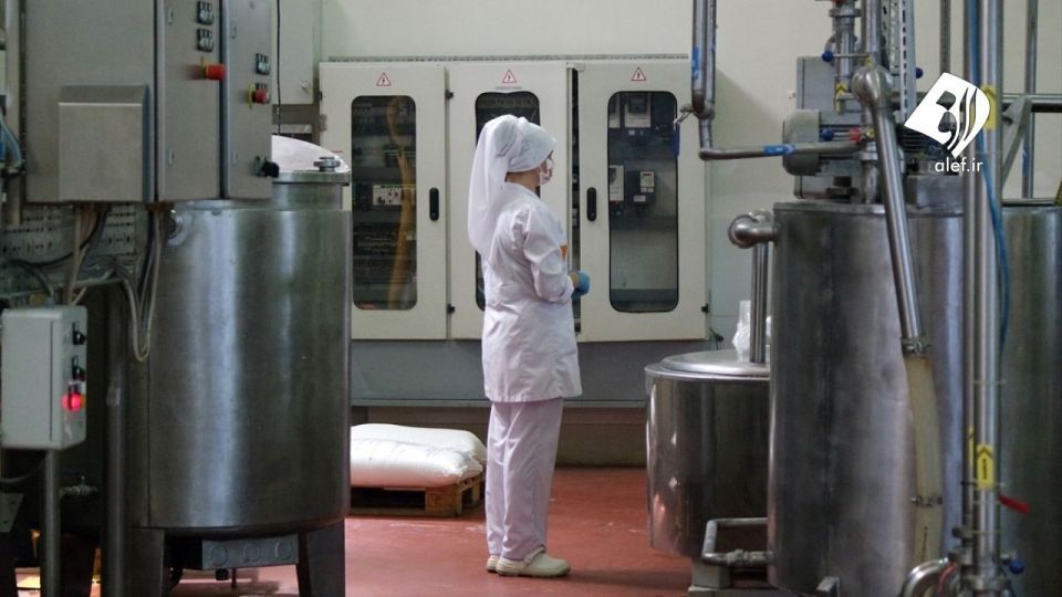 صادرات مخروط بستنی از ترکیه به ۷ کشور دنیا