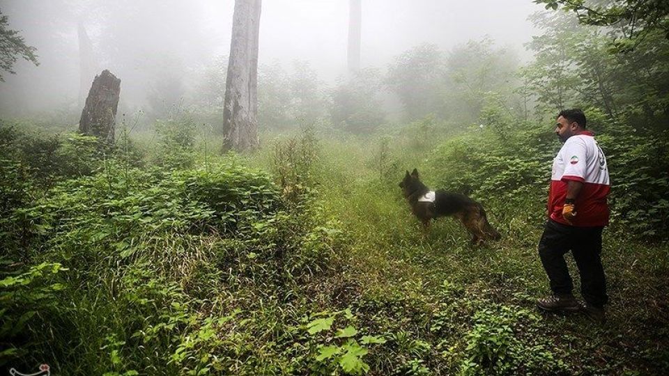 عملیات جستجو برای یافتن دختر گمشده عملیات جستجو برای یافتن دختر گمشده