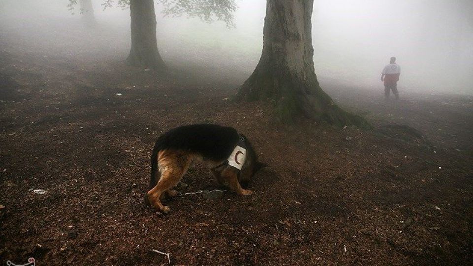 عملیات جستجو برای یافتن دختر گمشده عملیات جستجو برای یافتن دختر گمشده