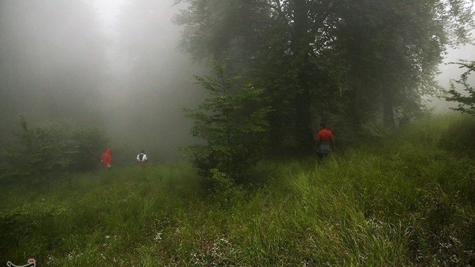 عملیات جستجو برای یافتن دختر گمشده عملیات جستجو برای یافتن دختر گمشده