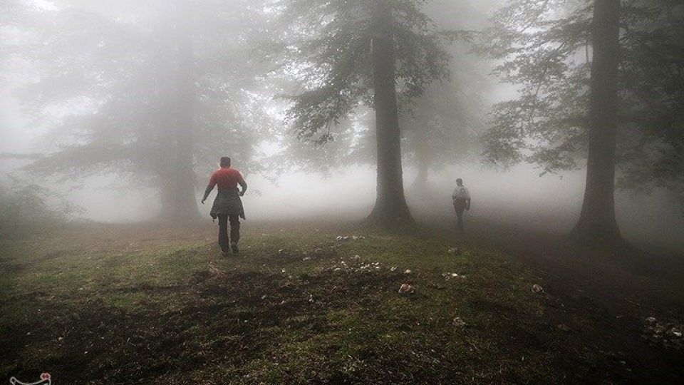 عملیات جستجو برای یافتن دختر گمشده عملیات جستجو برای یافتن دختر گمشده