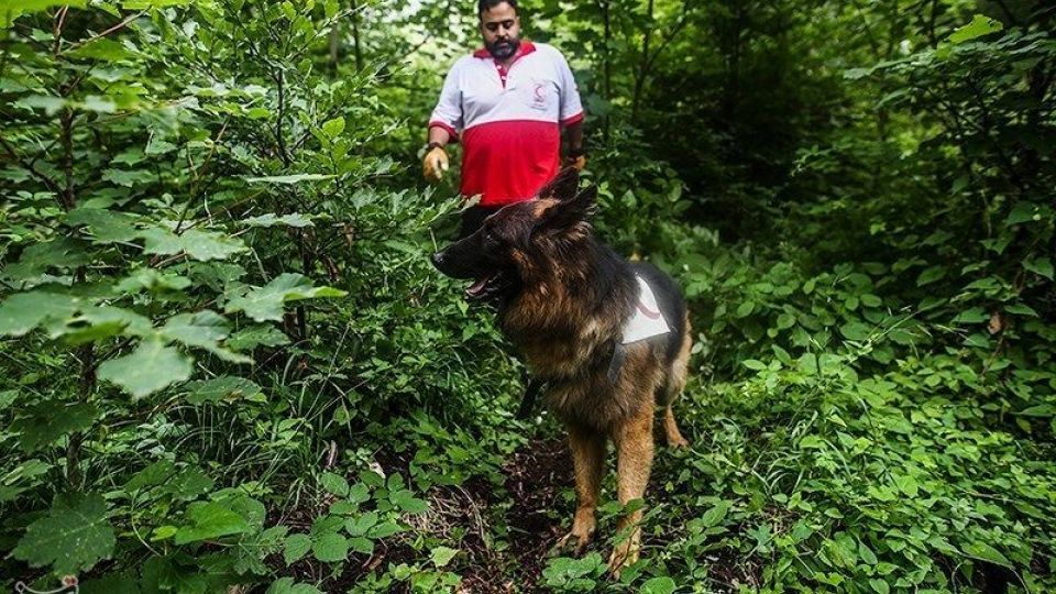 عملیات جستجو برای یافتن دختر گمشده عملیات جستجو برای یافتن دختر گمشده