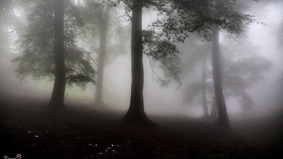 عملیات جستجو برای یافتن دختر گمشده عملیات جستجو برای یافتن دختر گمشده